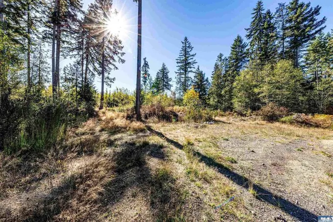 Port Angeles, Clallam County, WA Undeveloped Land for sale Property ID: 418015232