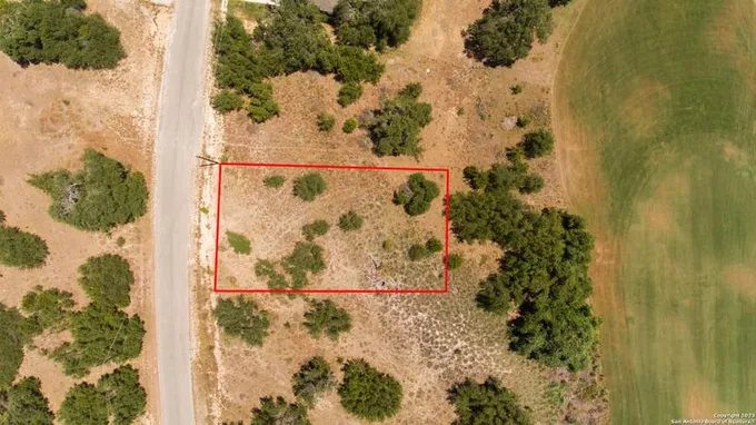 234 Roy Nichols, Blanco, TX 78606 for Sale