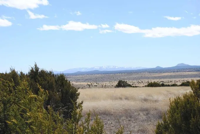 37 Lost Calf Lane, Magdalena, NM 87825  623660081 for Sale