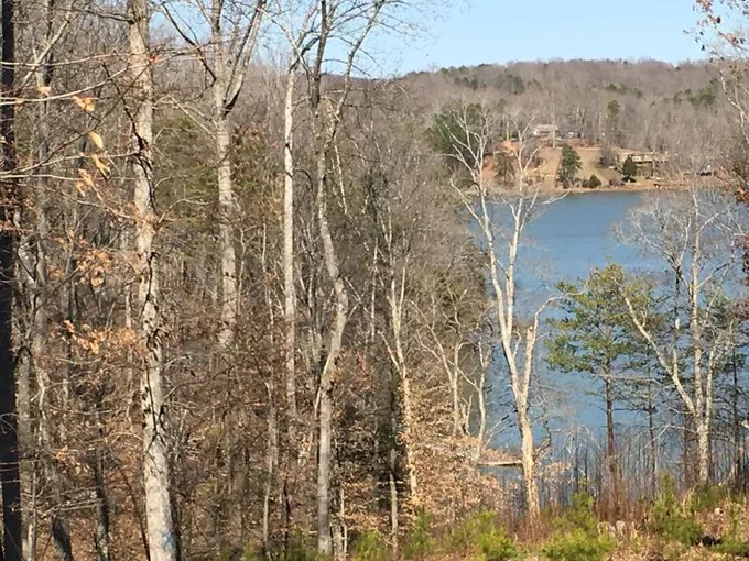 Pittsville, Pittsylvania County, VA Farms and Ranches, Homesites for sale Property ID: 416675896