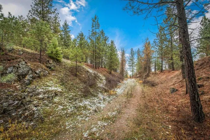 Springdale, Stevens County, WA Undeveloped Land for sale Property ID: 418369015