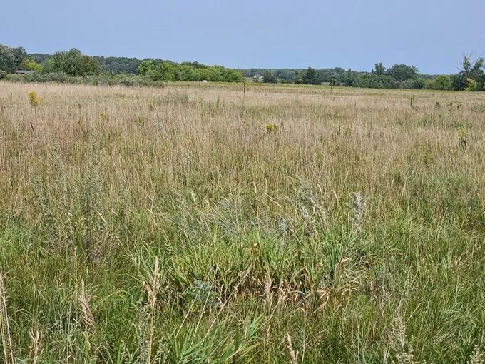 38 Northeast Carlos Mn 56319 Northeast, Alexandria, MN 56308 for Sale