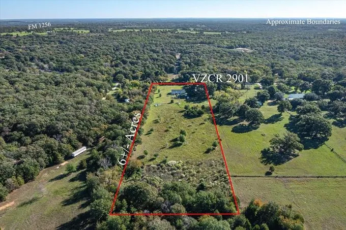 1102 Vzcr 2901, Martins Mill, TX 75754 for Sale