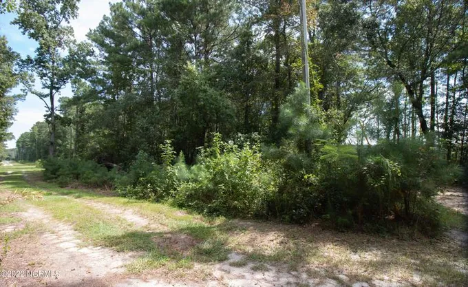 14 Big Eagle Road, Atkinson, NC 28421 for Sale