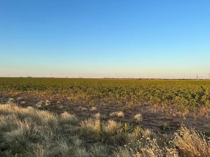 3 County Road 5400, Lubbock, TX 79403 for Sale