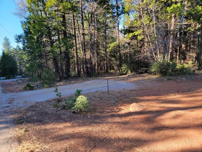 1.95-acres Bent Hill Road, Shingletown, CA 96088 for Sale