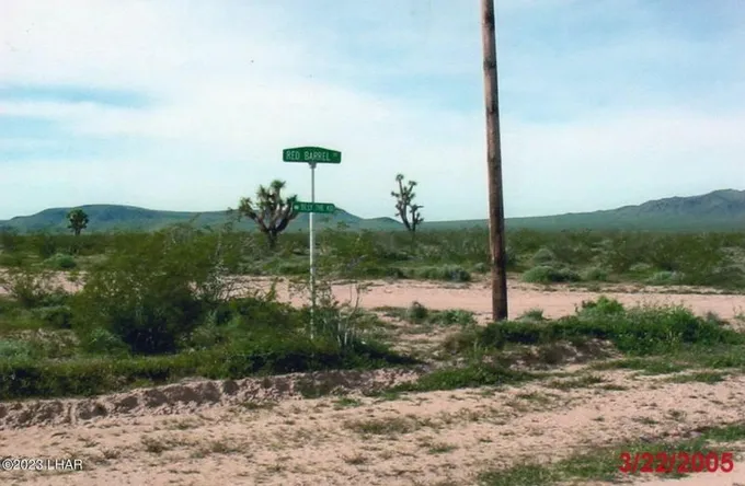 Yucca, Mohave County, AZ Undeveloped Land for sale Property ID: 416901242