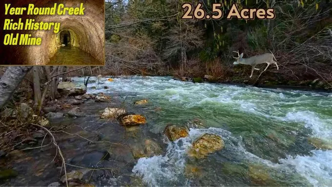 26.5 ACRES HWY 299E, Bella Vista, CA 96008 Land For Sale  MLS# 24-527