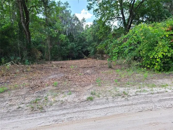 0 Southeast 95th Street, Ocklawaha, FL 32179 for Sale