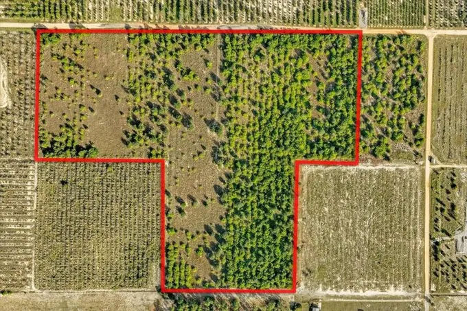 Lake Wales, Polk County, FL Undeveloped Land for sale Property ID: 418756717