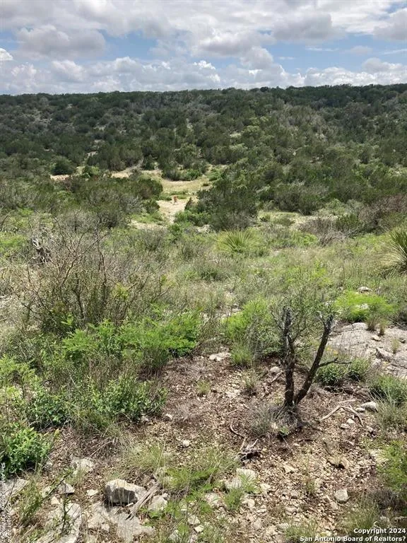 55 ACRES LEONA RANCH, Brackettville, TX 78832 for Sale