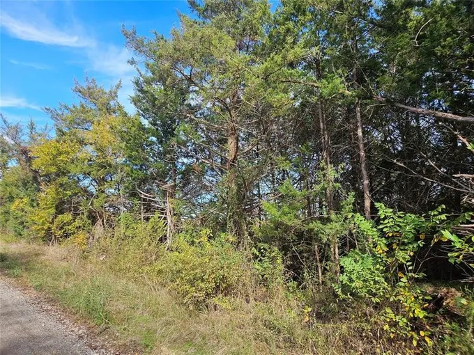 TBD CR 12650, Paris, TX 75462 for Sale