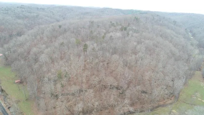 Elizabeth, Calhoun County, WV Undeveloped Land for sale Property ID: 418841190