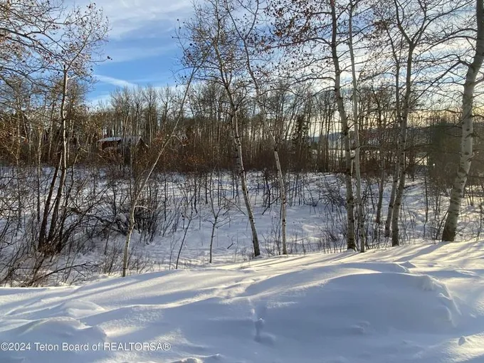 Thayne, Lincoln County, WY Undeveloped Land, Homesites for sale Property ID: 418749928