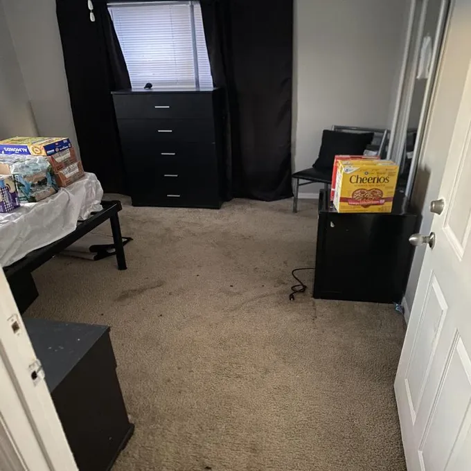 Furnished Tallahassee, Leon (Tallahassee) room for rent in 1 Bedroom, Apartment for 519 per month. Room ID 4739637