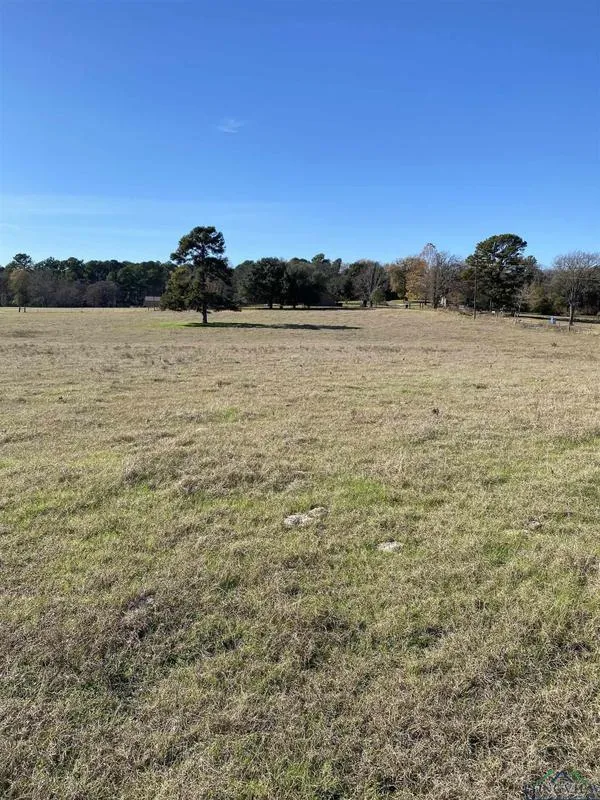 TBD Silk Tree Rd (Lot 1), Gilmer, TX 75645 for Sale
