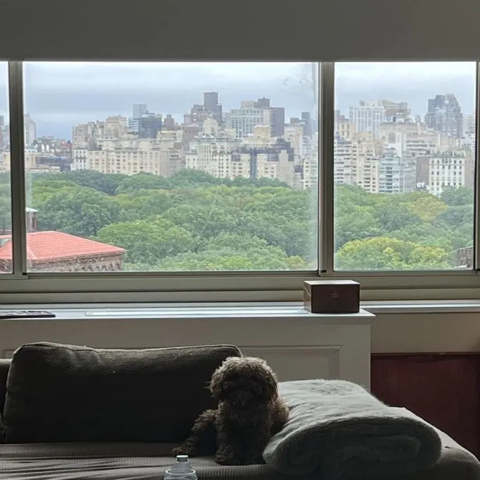 Rental listing in Upper West Side, Manhattan. Contact the landlord or property manager direct about rental.