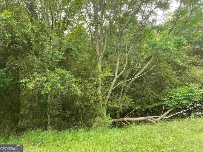 0 River Birch Lane, Colbert, GA 30628 for Sale