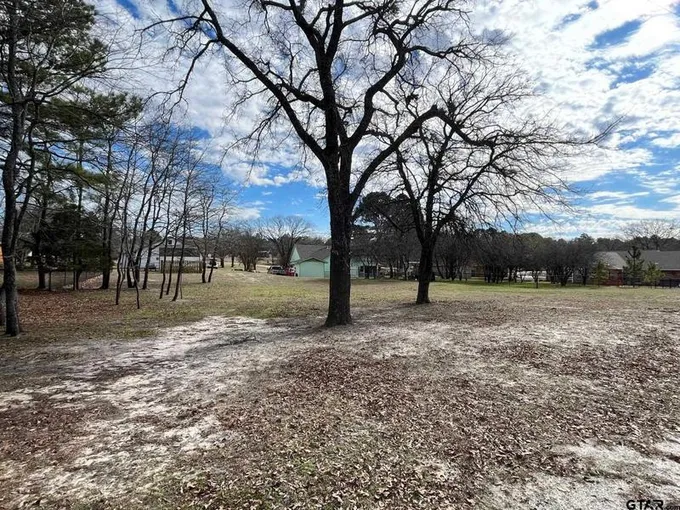 Lot 159 Pagosa Ln, Holly Lake Ranch, TX 75765 for Sale
