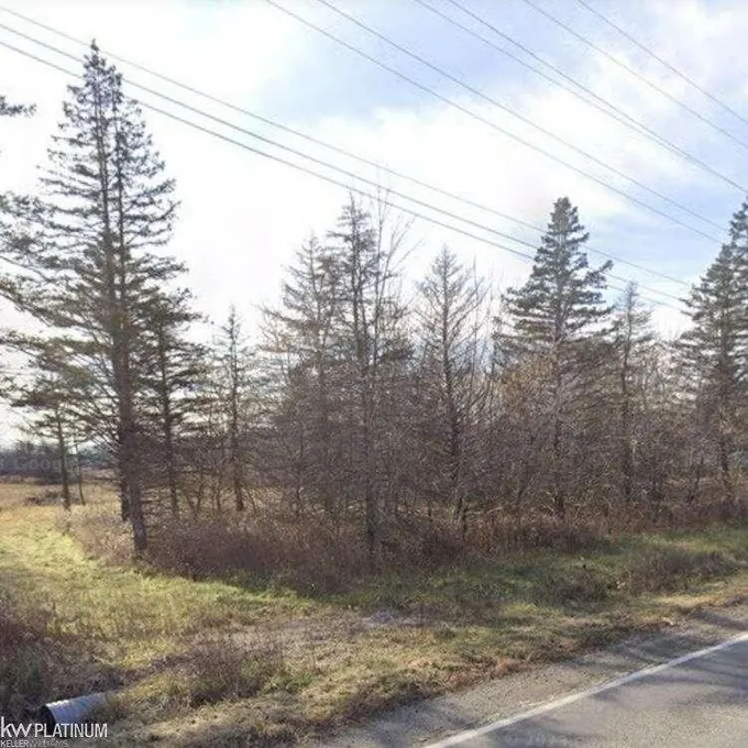 817 smiths creek, Walgamor Corners, MI 48027  624144914 for Sale
