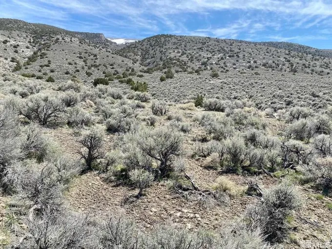 25200 Ramsey Road, Lovelock, NV 89419 for Sale