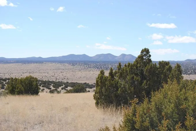 38 Lost Calf Lane, Magdalena, NM 87825  623660082 for Sale