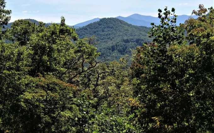 Hayesville, Clay County, NC Undeveloped Land, Homesites for sale Property ID: 411566634