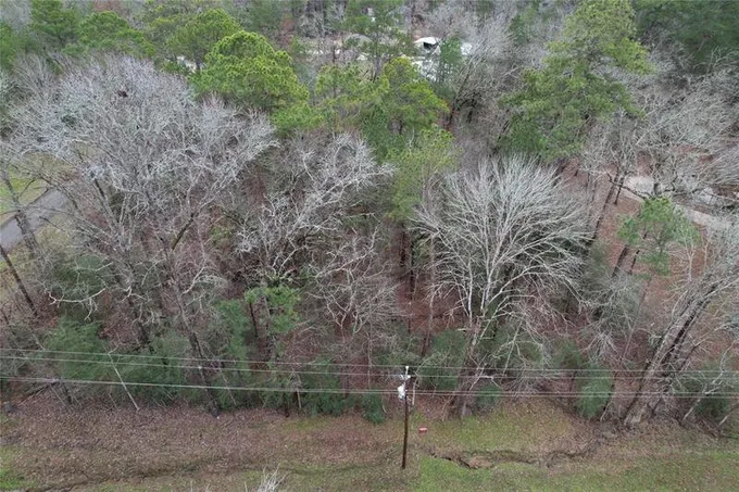 TBD Hidden Cove Dr Dr, Point Blank, TX 77364 for Sale