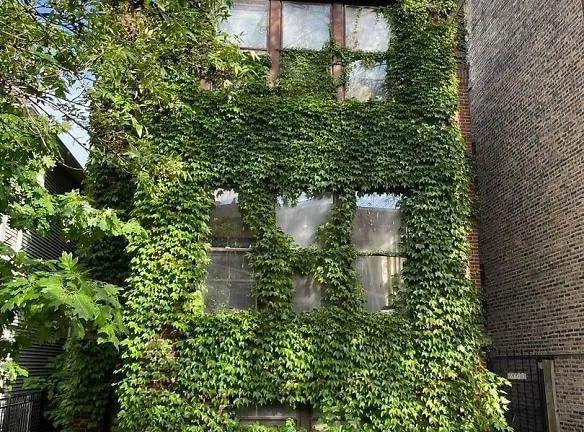 6609 N Greenview Ave #B - Chicago, IL 60626 - Home For Rent