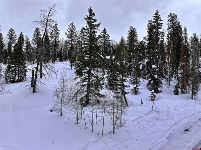 474 Engineer Drive, Durango, CO 81301  624568334 for Sale
