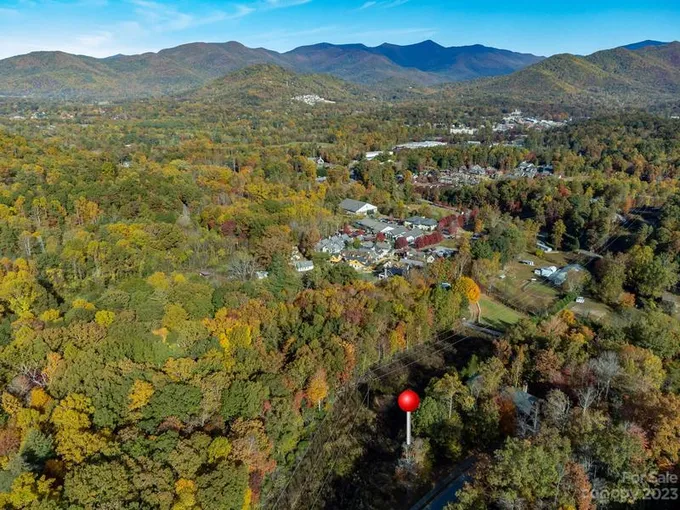 68 Cottage Settings Lane, Unit 290, Black Mountain, NC 28711 for Sale