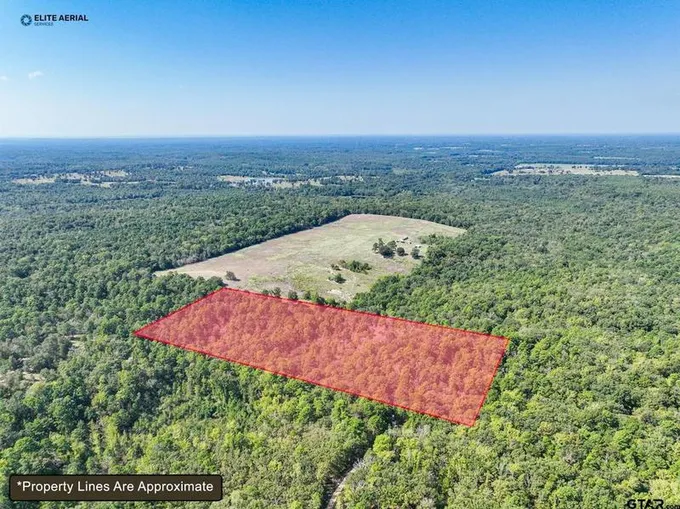 Tbd PR 8556, Winnsboro, TX 75494 for Sale