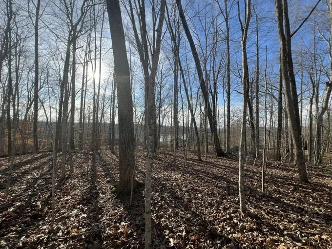 0 LAKEVIEW DR, Byrdstown, TN 38549 Land For Sale  MLS# 2612907