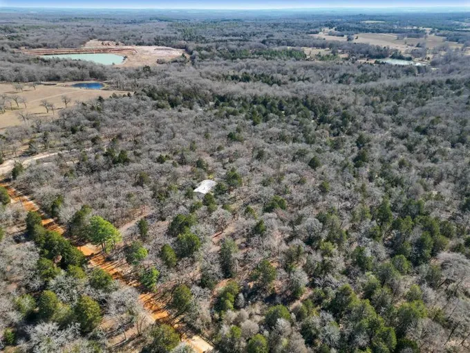 Athens, Henderson County, TX Undeveloped Land for sale Property ID: 418853800