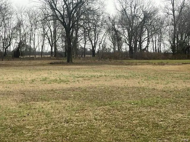 0 HATTON AVENUE, Charleston, MO 63834 Land For Sale  MLS# 24006030