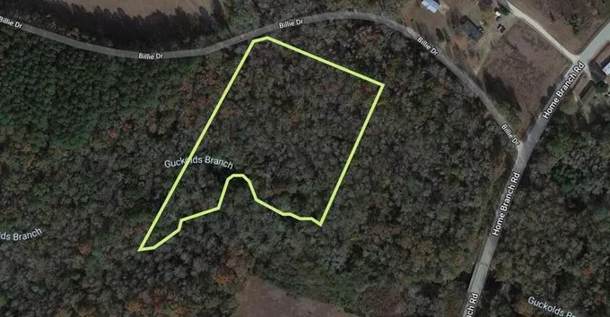 Tract 2A 20 District, Manning, SC 29102 - MLS 24002922 for Sale