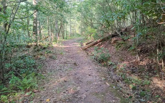 Mineral Bluff, Fannin County, GA Undeveloped Land, Homesites for sale Property ID: 418838702