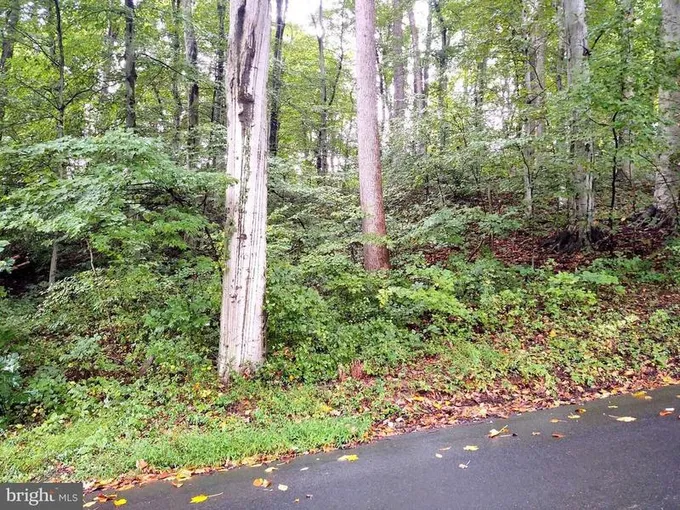 LOTS 126-127 CODJUS DR, RISING SUN, MD 21911  622203217 for Sale