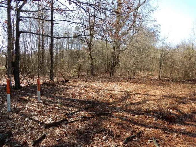 Bradford, White County, AR Undeveloped Land for sale Property ID: 418814369