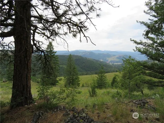 Two 2 Sisters Way, Curlew, WA 99118 for Sale