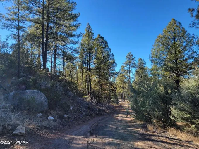 Heber, Navajo County, AZ for sale Property ID: 418779220