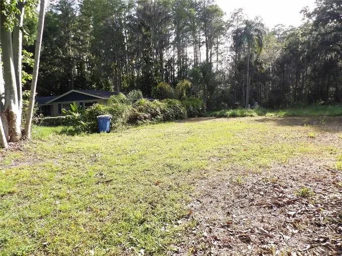 17506 Darby Lane, Lutz, FL 33558 for Sale