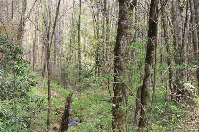 0 Big Spring Trail, Unit 61, Cherokee, NC 28719 for Sale