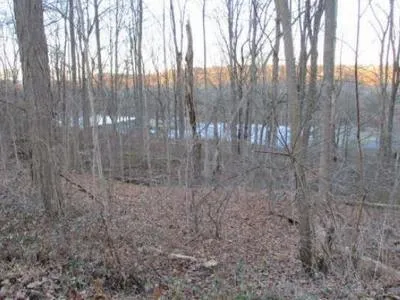 Stony Hill Rd for Sale
