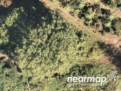 Rippling Branch Ln for Sale