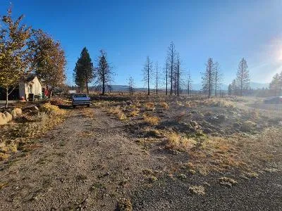 116 Buffalo for Sale