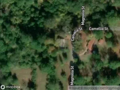 Magnolia St for Sale