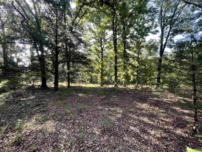 Flippin, Marion County, AR Undeveloped Land, Homesites for sale Property ID: 418825515