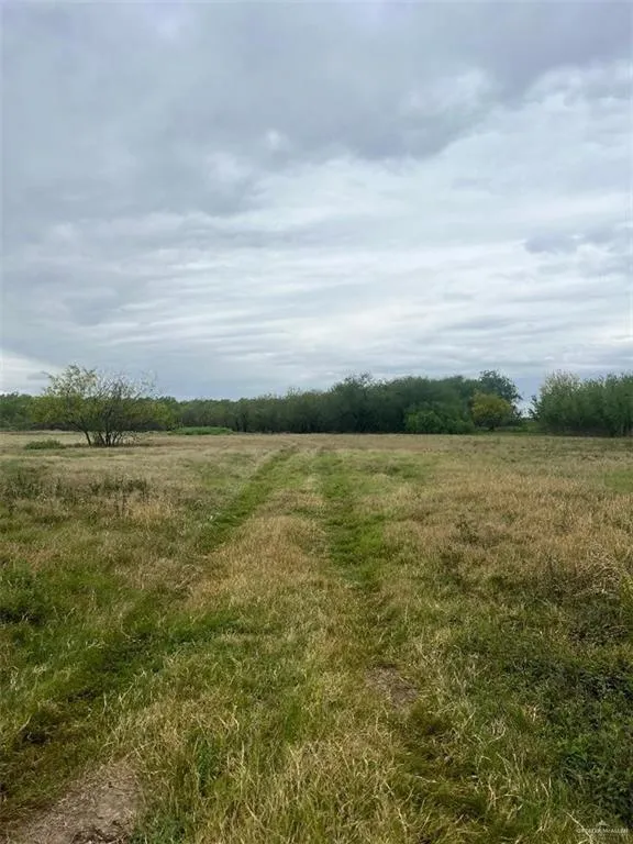 24225 Norene Drive, Monte Alto, TX 78538 for Sale