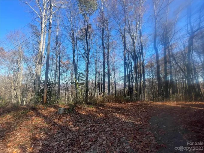Waynesville, Haywood County, NC Undeveloped Land for sale Property ID: 418765770